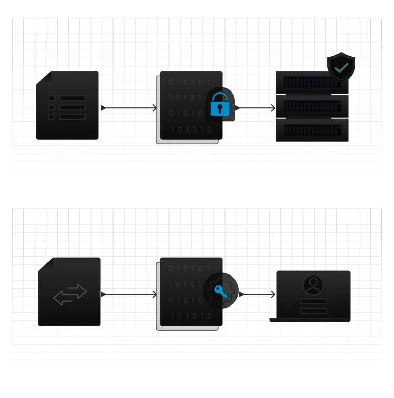 Encryption at Rest and in Transit
