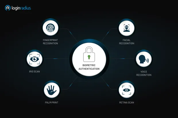 Image showing various types of biometric authentication methods. Includes fingerprint, facial, voice, iris, retina, and palm print recognition.